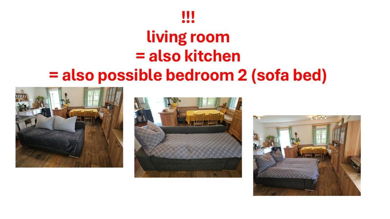 Premium Apartment Mit Privatem Whirlpool, Sauna, Garten Sankt Martin am Grimming Екстериор снимка